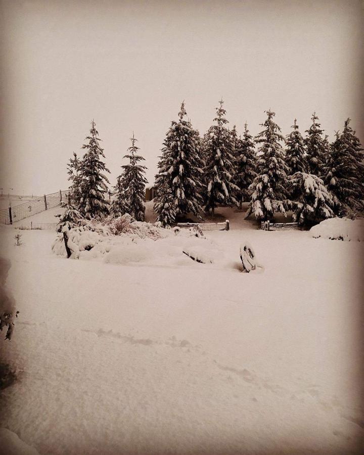 Ben Ohau Villa Twizel Kültér fotó